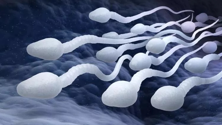 Sperm sayısı neden düşer?