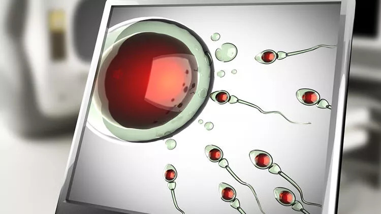 25 yıl içinde sperm sayısı sıfırlanır mı?