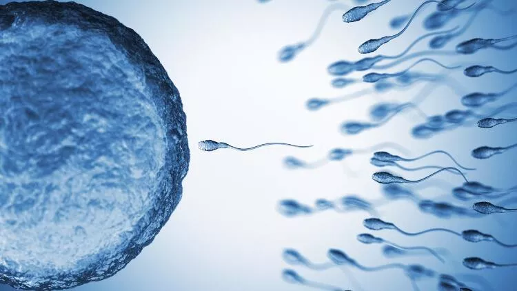 Hava ve çevre kirliliği sperm kalitesini düşürüyor