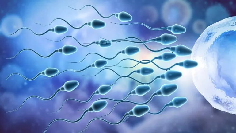 Sperm sağlığında antioksidanların önemi